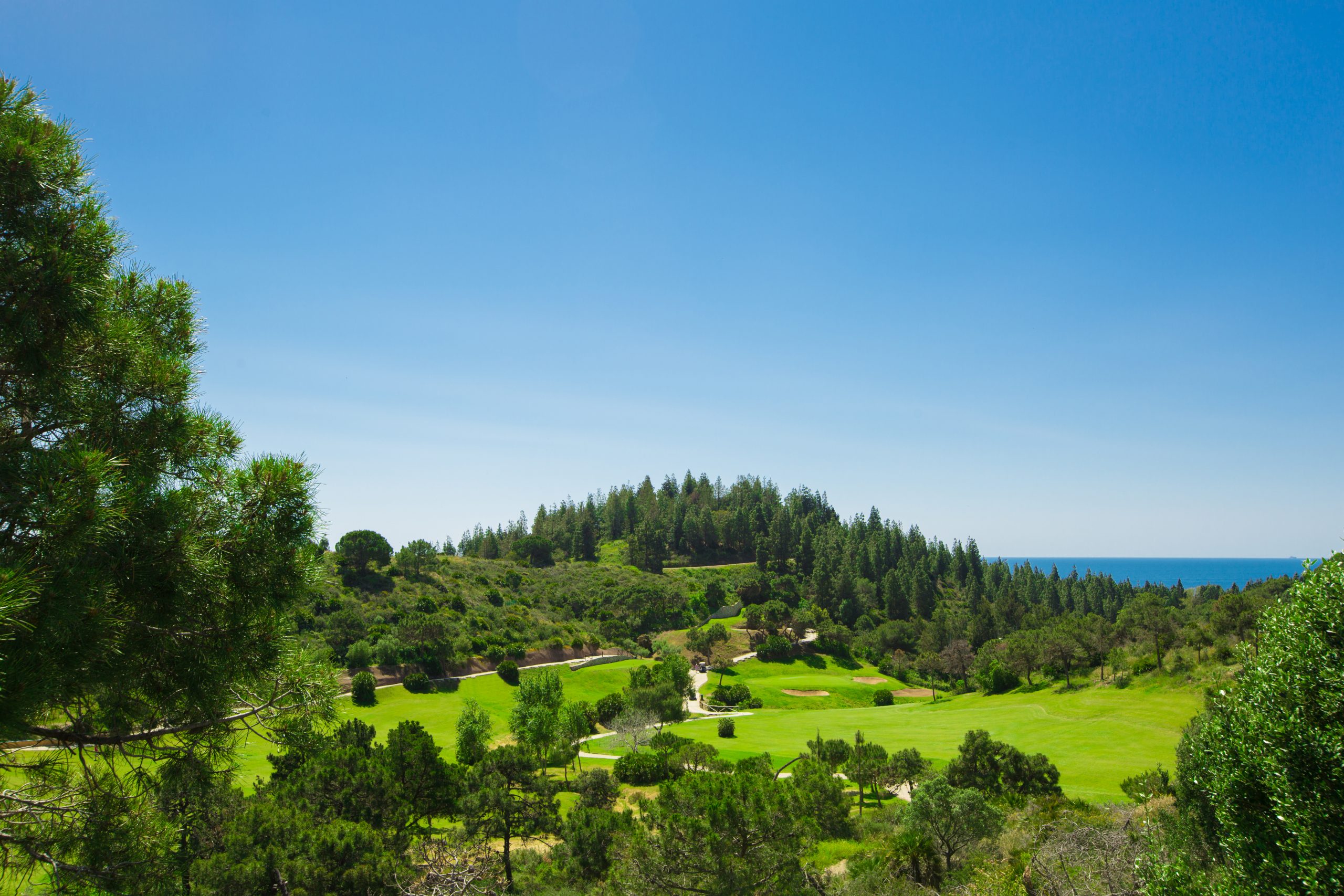 El Chaparral Golf Club