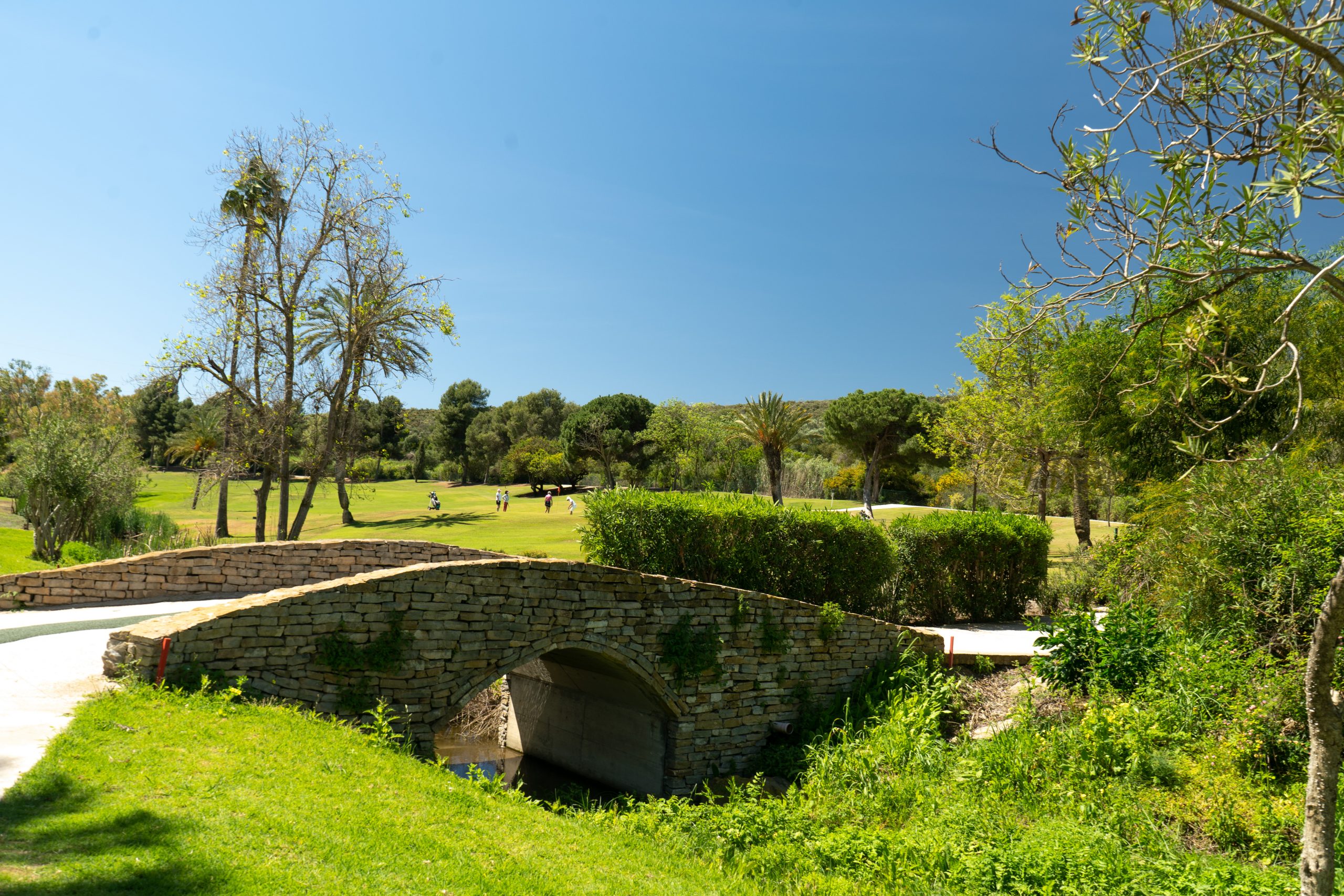 El Paraiso golf