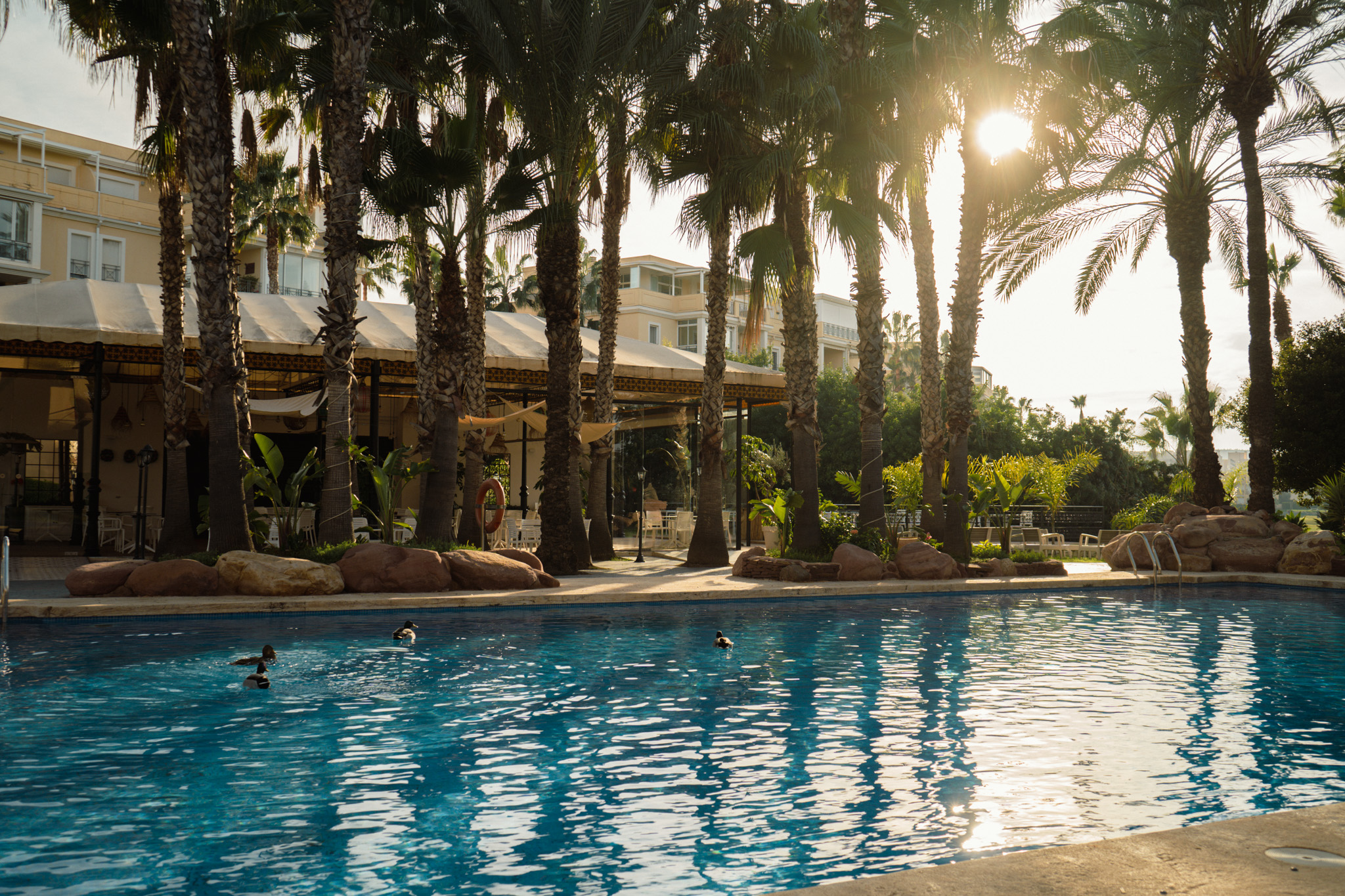 Hotel Alicante Golf