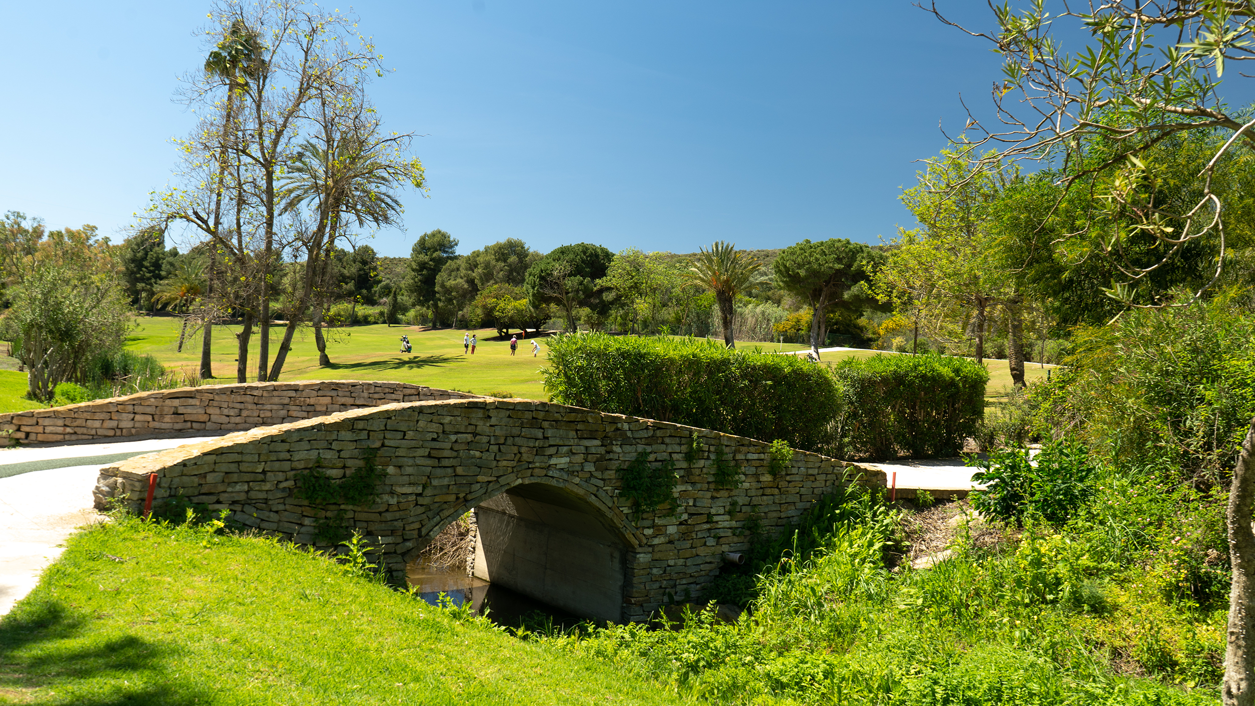 El Paraiso golf
