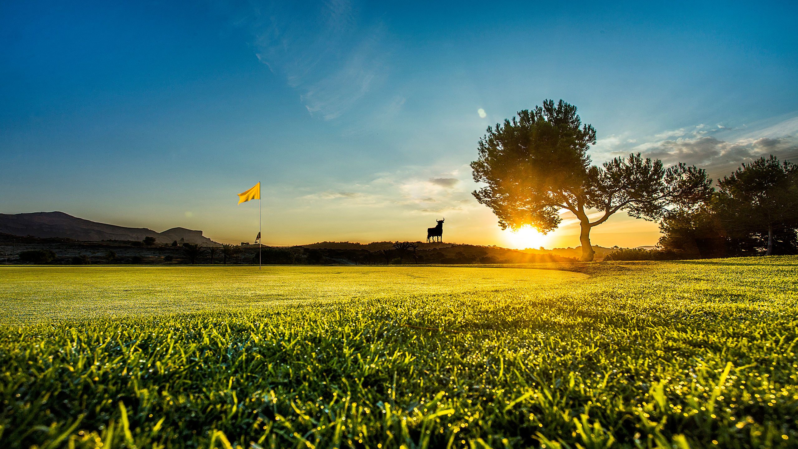 Alenda Golf